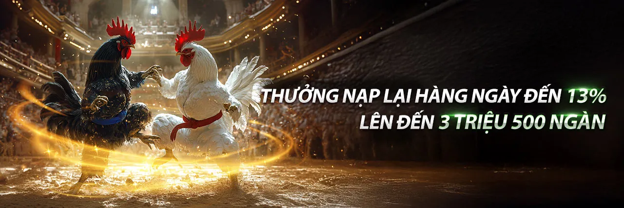 Hình ảnh chính giới thiệu về rik88 code - Nền tảng giải trí trực tuyến hàng đầu Việt Nam